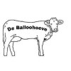 De Balloohoeve